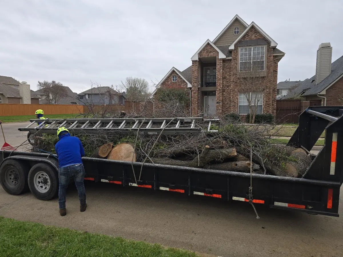 Expert Tree Removal with proper safety equipment in Payson